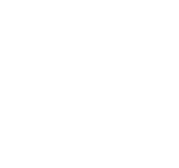 Unbenannt-1